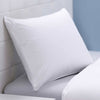 PolyFlex Natural Latex and Down Alternative Blended Pillow