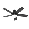 Hunter Asheville 52” Ceiling Fan – Indoor / Outdoor
