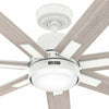 Hunter Loflin Great Room Ceiling Fan with LED Light