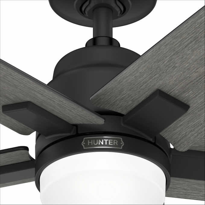 Hunter Rapidan LED 52" Ceiling Fan