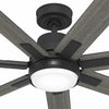 Hunter Loflin Great Room Ceiling Fan with LED Light