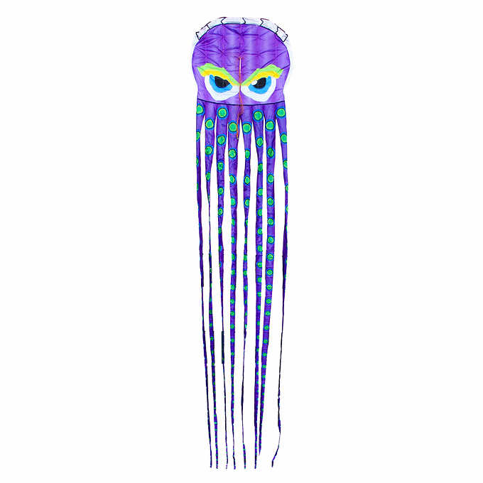 Giant 26' Octopus Airfoil Nylon 3-D Kite