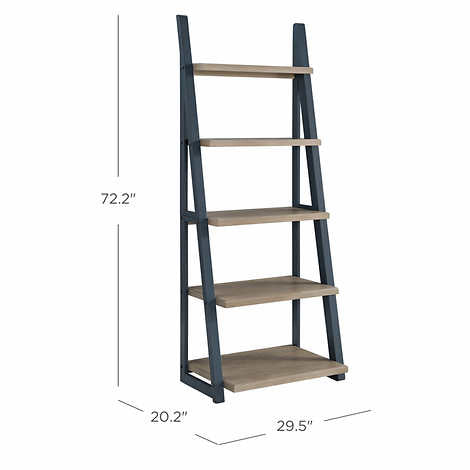 Fynn 72” Ladder Bookcase