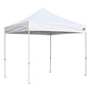 Eurmax Premium 10' x 10' Instant Canopy Tent White with Enclosure Sidewalls