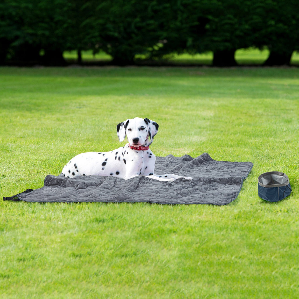 Travel Pet Throw With Collapsible Bowl Set