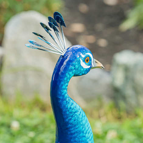 39" Metal Peacock