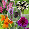 Pre-Order Longfield Garden Solution Collections