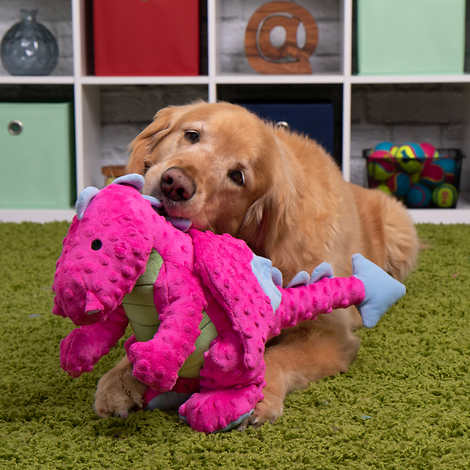 goDog Jumbo Squeaker Plush Dog Toy with Chew Guard Technology, 2-pack