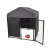Lucky Dog STAY Series Studio Jr. Dog Kennel 4'x4' with Privacy Screen