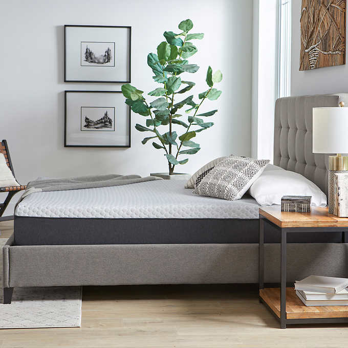 Sleep Science Hudson 10” Mattress with Bed Frame