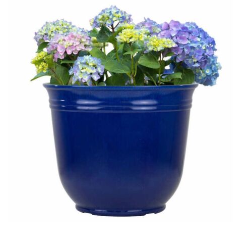 Theo 18" Resin Planter in Blue, 2-pack by Trendspot