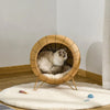PawHut Wicker Cat Bed, Elevated Rattan Kitten Basket with Soft Cushion, Light Brown