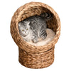 PawHut Handwoven Elevated Cat Bed with Soft Cushion & Cat Egg Chair Shape, Cat Basket Bed Kitty House with Stand, Raised Wicker Cat Bed for Indoor Cats, 20" Dia. x 23.5" H, Dark Brown