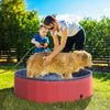PawHut Foldable Dog Pool for Large Dogs with Fast and Easy Pack-Up, Portable PVC Pet Swimming Pool Dog Bath