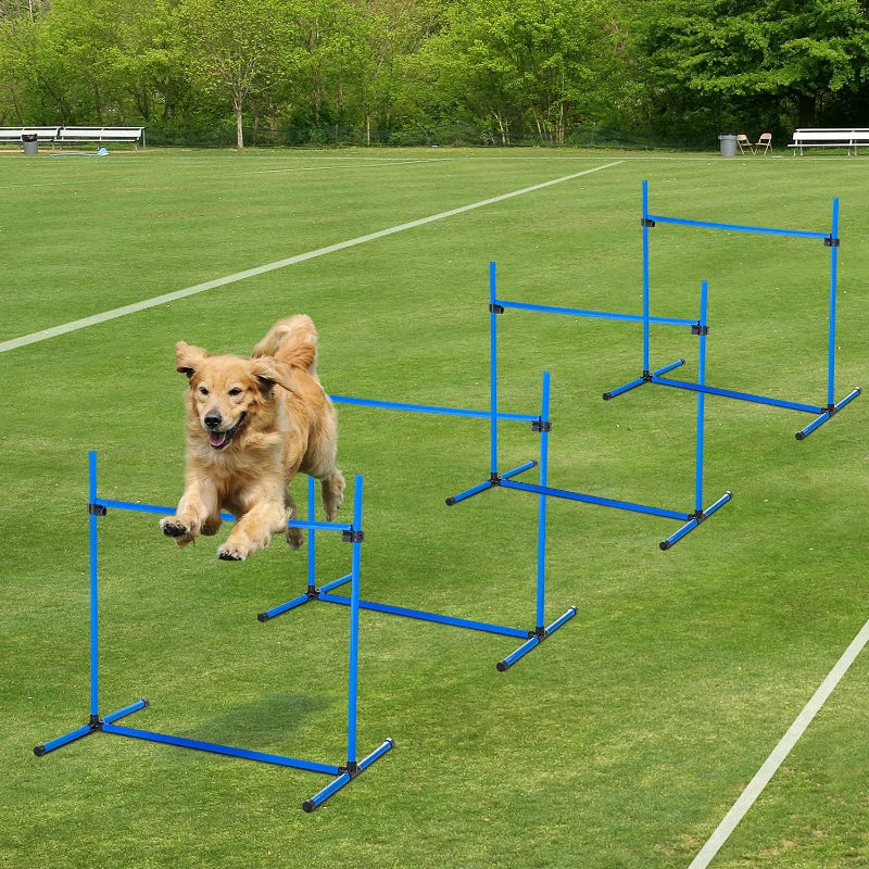 Freestanding dog shop agility equipment