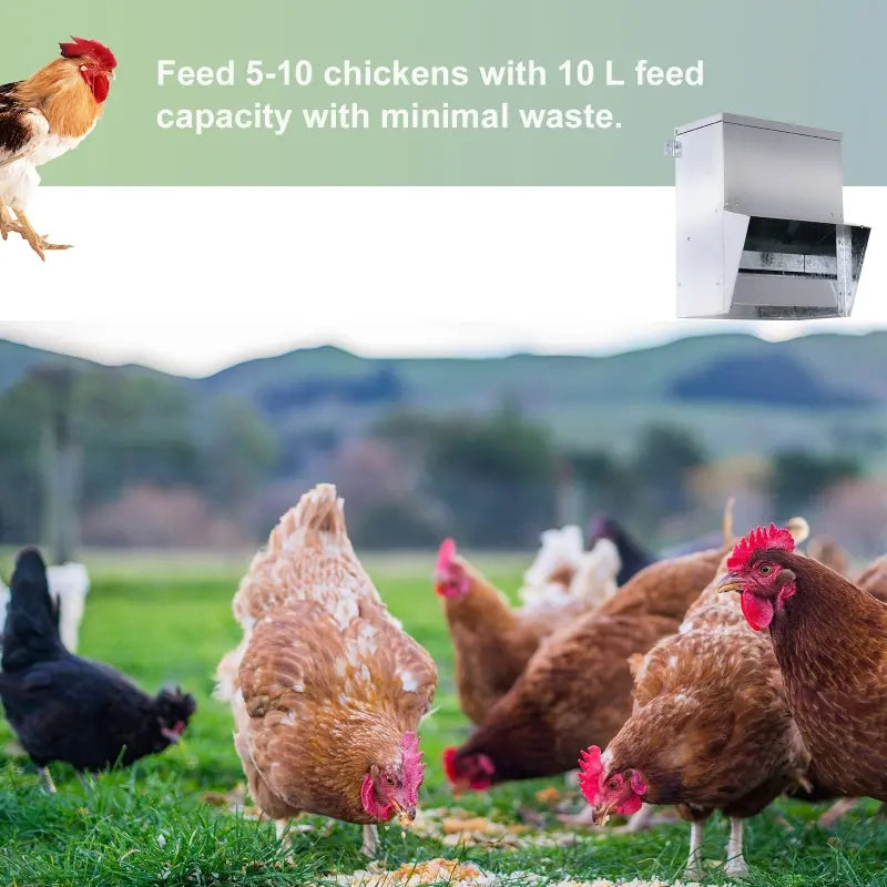 PawHut Automatic Chicken Feeder, No-Waste Poultry Feeder with Protective Lid for up to 4 Chickens, Holds 13 L of Feed