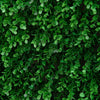 Outsunny 12 PCS 20" x 20" Artificial Boxwood Wall Panel Sweet Potato Leaf Privacy Fence