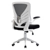 Vinsetto Mid-Back Mesh Home Office Chair Computer Task Ergonomic Desk Chair with Lumbar Back Support, Flip-Up Arm, and Adjustable Height, Grey
