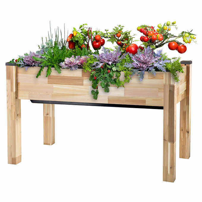CedarCraft Self-Watering Elevated Cedar Planter with Greenhouse and Bug Cover