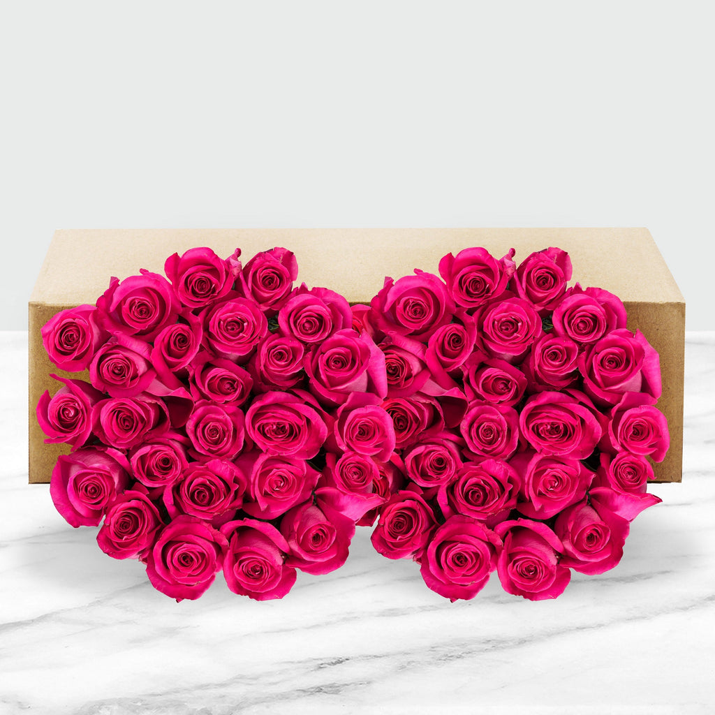 50-stem Hot Pink Roses