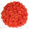 50-stem Orange Roses Image