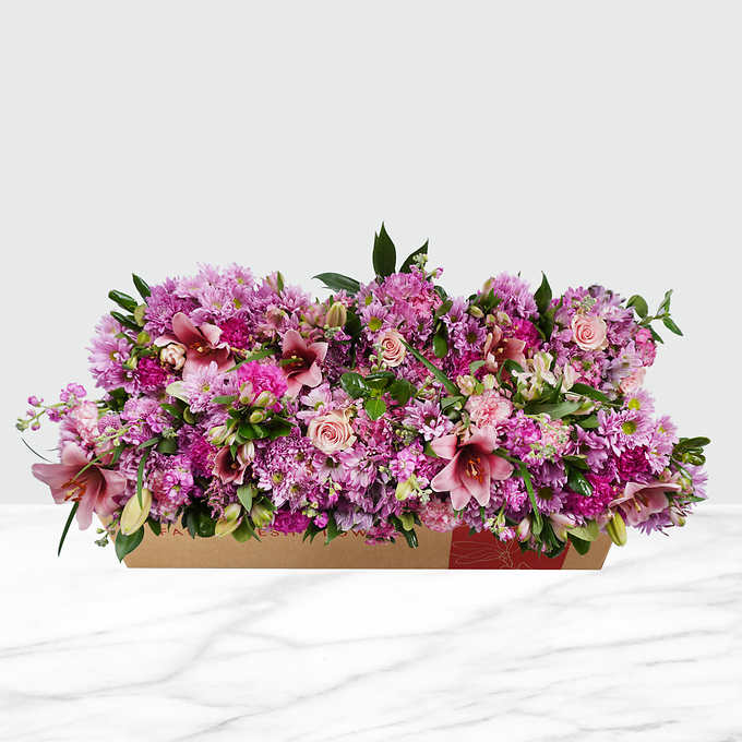 Mountain Bouquet Event Collection, 10-count