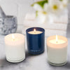 W+L 11oz Scented Candles, 3-pack