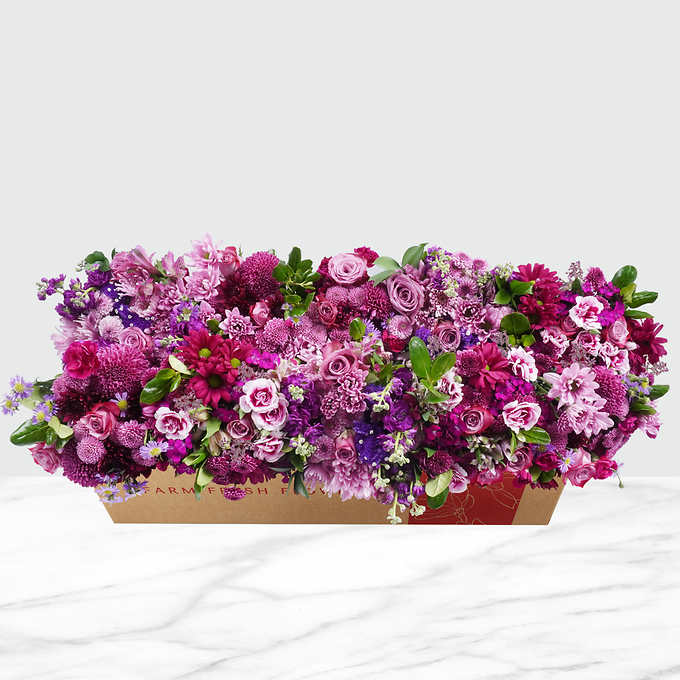 Mountain Bouquet Event Collection, 10-count