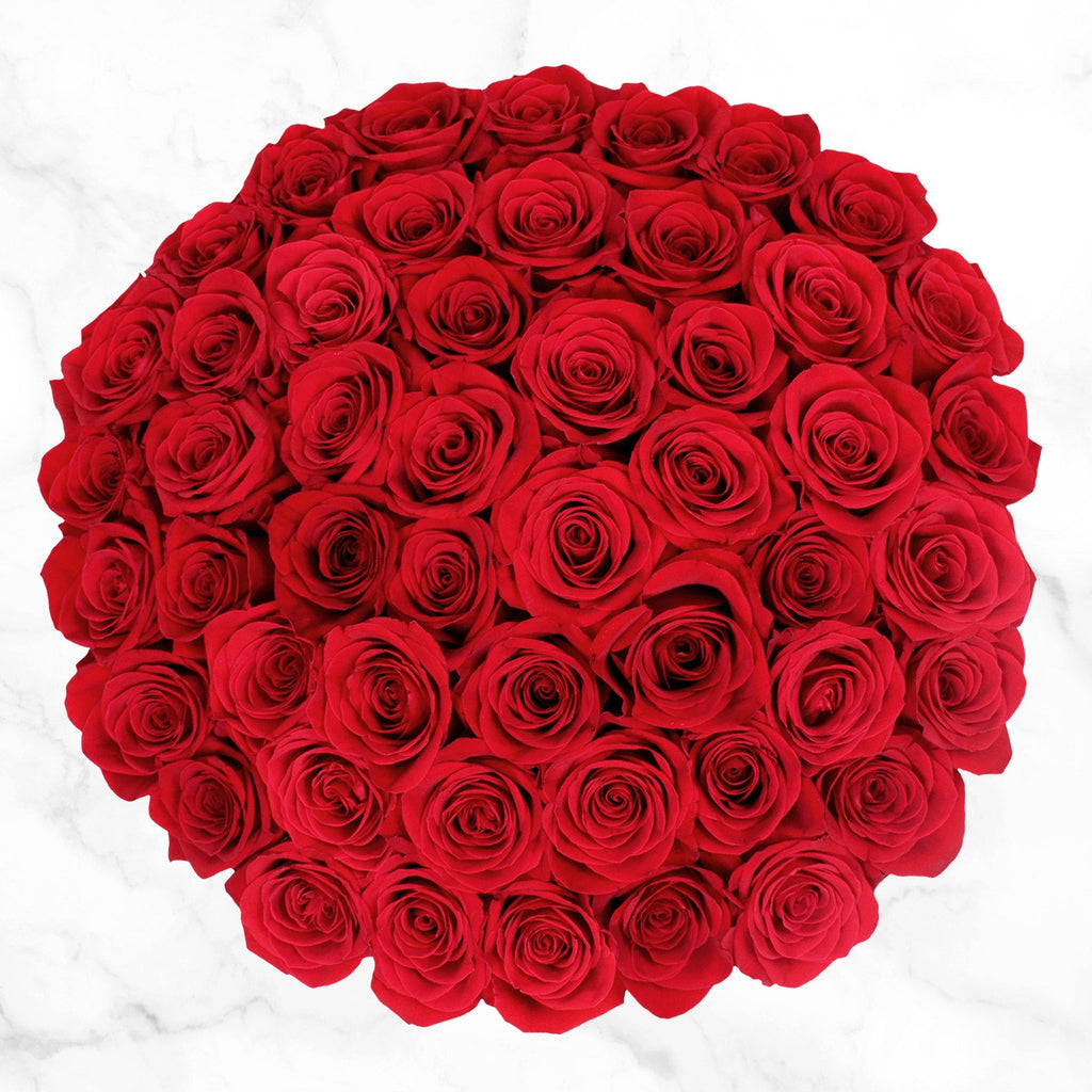 50-stem Red Roses Image