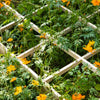 Outsunny 39'' x 39'' Screwless Raised Garden Bed Wooden Planter Box Herb Garden
