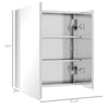 kleankin Wall Mounted Bathroom Medicine Cabinet with Hinged Door Storage Shelves for Living Room and Laundry Room Silver